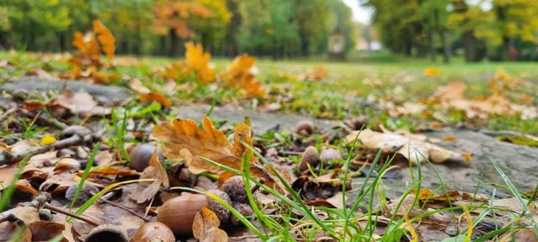 Kalwaria urzeka o każdej porze roku