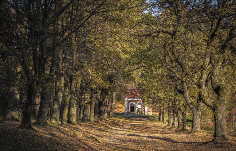 Ścieżki kalwaryjskie urzekają