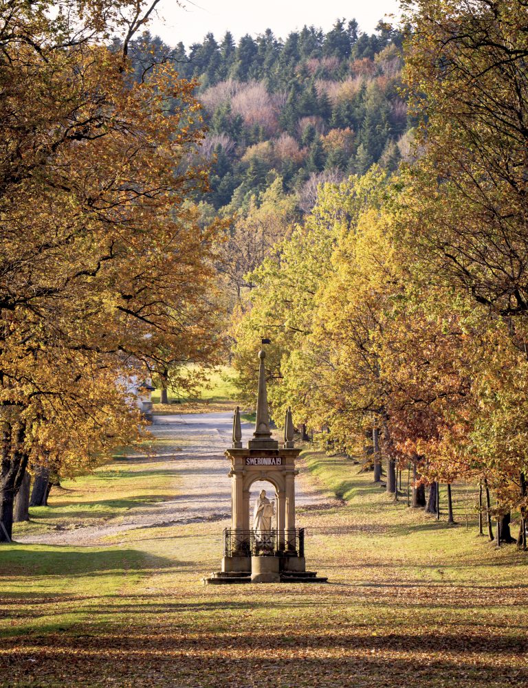 Wyrusz w podróż po kalwaryjskich dróżkach