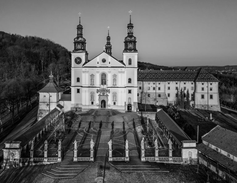 Korzenie w Palestynie