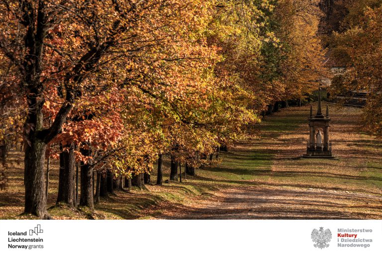 New forms of activity